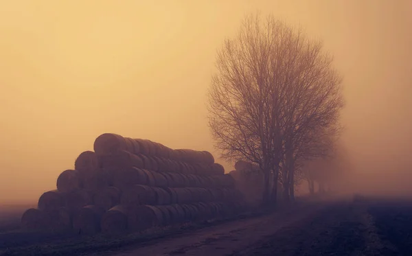 Fardos de paja cerca del camino de tierra un día de niebla —  Fotos de Stock