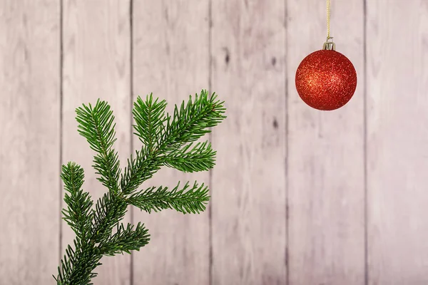 Bola roja de Navidad con una rama de pino — Foto de Stock