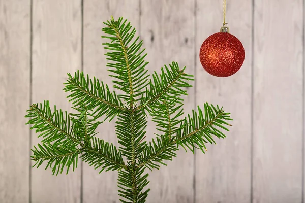 Boule de Noël rouge avec une branche de pin — Photo