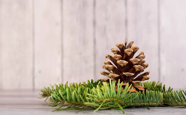 Pine tak en schuin uitlopend op een houten achtergrond — Stockfoto