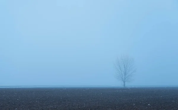 Мінімальне фото туманний день — стокове фото