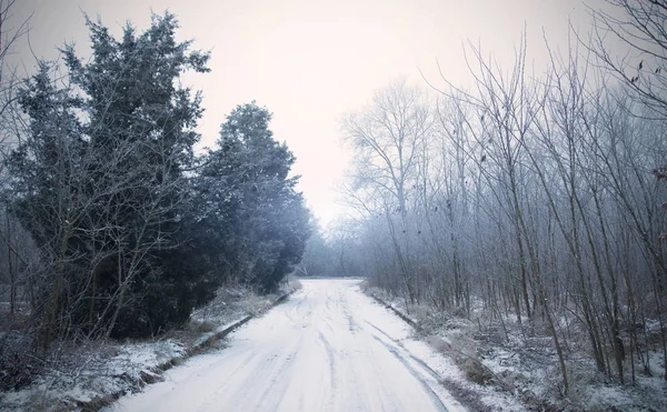 Estrada de inverno na floresta — Fotografia de Stock