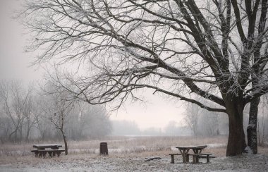 winter Park Bench