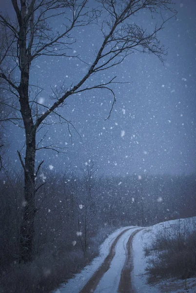Yol kış kar kaplı — Stok fotoğraf