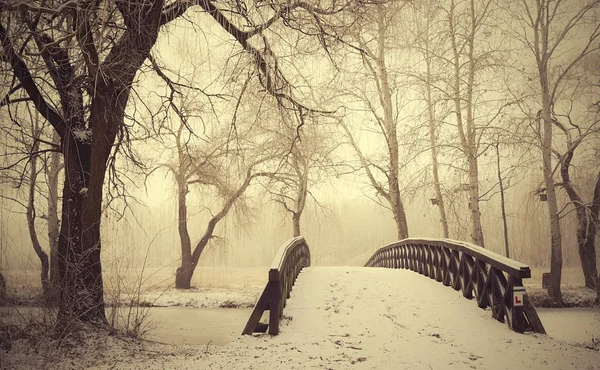 Ponte de madeira coberta de neve no parque — Fotografia de Stock