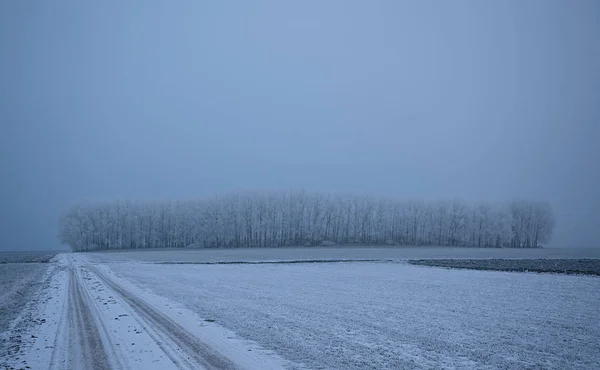 Scane invernali nella natura — Foto Stock