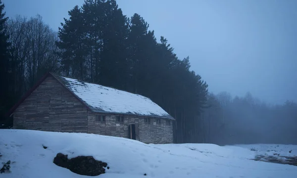 Old, wooden barrack in the forest — Stock Photo, Image