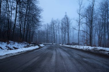 Doğada ürkütücü gece
