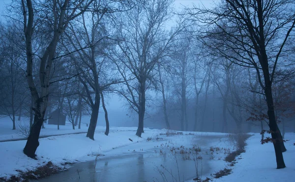 Spooky night in the nature — Stock Photo, Image