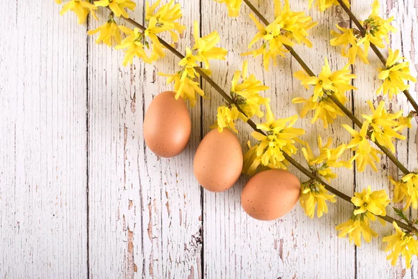 Belleza forsythia rama con huevos sobre fondo de madera blanca —  Fotos de Stock