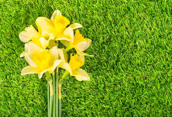 Bouquet di narcisi freschi su erba verde — Foto Stock