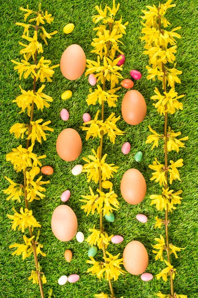 Belleza forsythia rama con huevos en la hierba — Foto de Stock