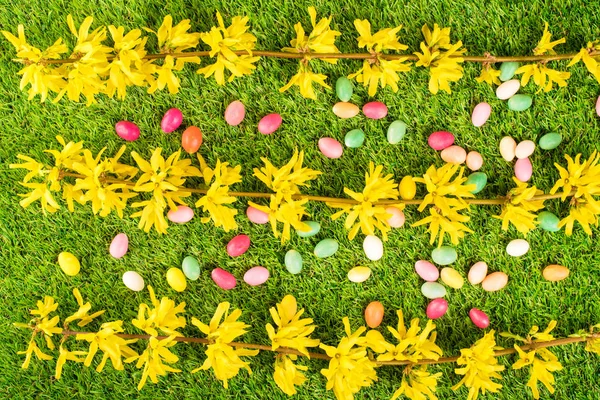 Belleza forsythia rama con huevos en la hierba — Foto de Stock