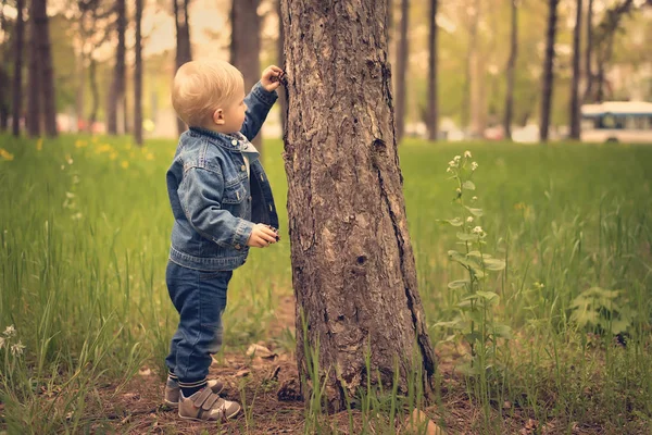 Happy kid playing with tree — Stock Photo, Image