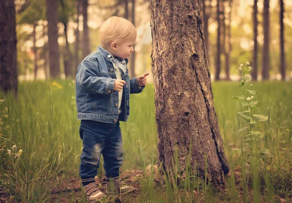 Happy kid playing with tree — Stock Photo, Image