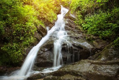 Orman akarsu şelale
