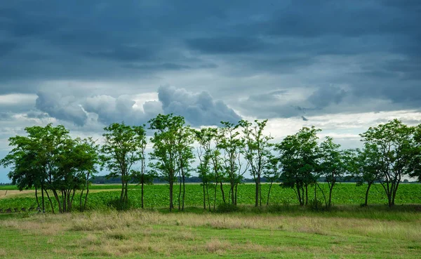 Scena della natura una giornata nuvolosa — Foto Stock