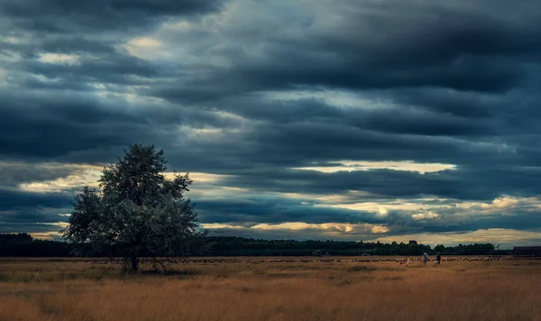 Hermosa escena rural después de la lluvia —  Fotos de Stock