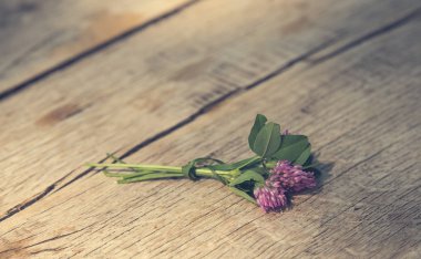 Ahşap üzerinde pembe yonca çiçek