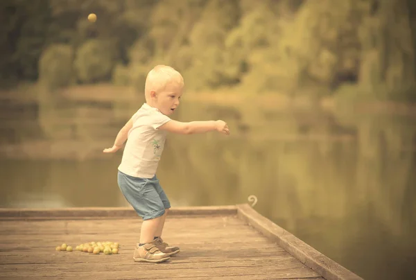 Little boy play with wild berries — Stock Photo, Image