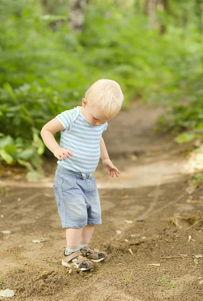 Little boy in the park — Stock Photo, Image