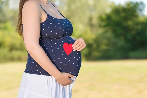 Imagem recortada da barriga e do coração da bela mulher grávida — Fotografia de Stock