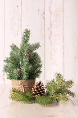 Çam dal ve ahşap arka plan üzerinde koni