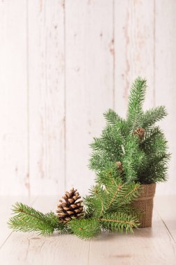 Çam dal ve ahşap arka plan üzerinde koni