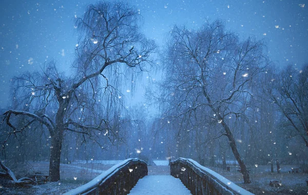 Snowfall in the nature at night — Stock Photo, Image