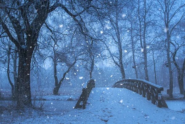 Nieve en la naturaleza por la noche —  Fotos de Stock