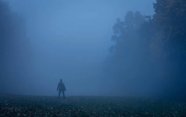 Homem turístico na natureza um dia nebuloso — Fotografia de Stock