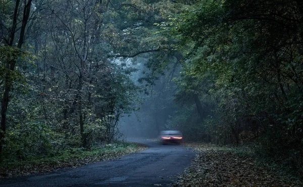 Herfst bos landschap met weg — Stockfoto