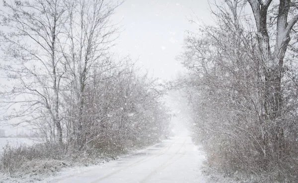 Прекрасный зимний пейзаж снежный день — стоковое фото