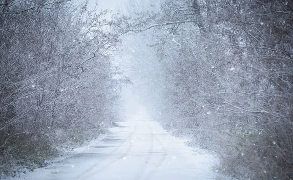 Güzel kış manzara karlı bir gün — Stok fotoğraf