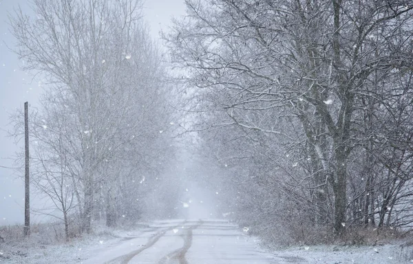 Güzel kış manzara karlı bir gün — Stok fotoğraf