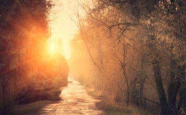 Toprak yol günbatımı kırsal sahnesinde peyzaj