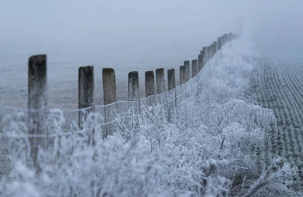 Frosty staket en dimmig dag — Stockfoto