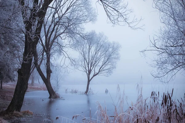 Заморожений пейзаж зимовий день — стокове фото