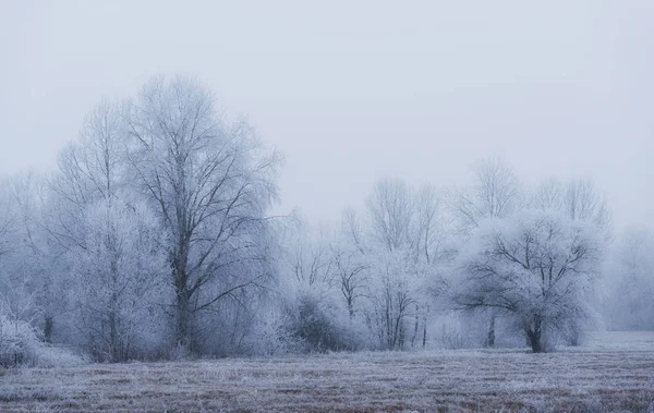 Frosty landscape a winters day — Stock Photo, Image
