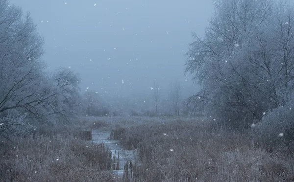 Frosty landskap en vinter dag — Stockfoto