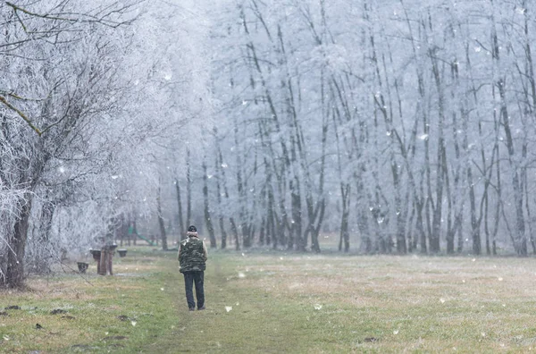 Starý muž kráčí v zimním parku — Stock fotografie