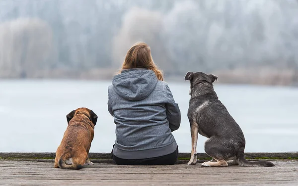 Mujer y sus perros relajándose en el parque —  Fotos de Stock