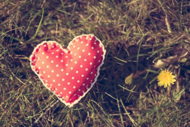 Dotted red hart shape on the grass