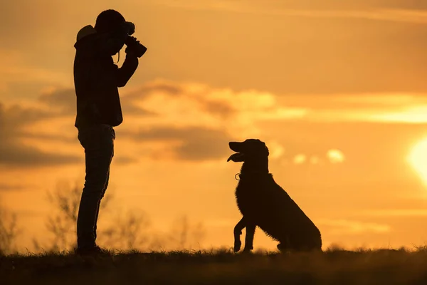 Sahibi, doğadaki köpeğinin fotoğrafını çeker. — Stok fotoğraf