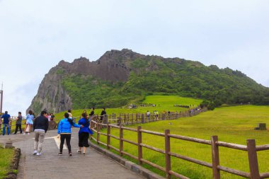 Jeju Adası, Güney Kore-Haziran 2018: Ziyaretçi, Jeju Adası, Güney Adası 'ndaki Seongsan Ilchulbong' un (Volkanik Koni) güzel doğa manzarasını ziyaret ediyor ve tadını çıkarıyor..