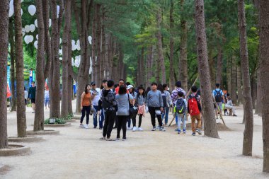 Chuncheon, Güney Kore - 08 Haziran 2018: Nami Adası 'nın (Namiseom) ağaçlık alanlarında gezen turistler, Kore' nin popüler kış sonatasının çekildiği Güney Kore 'de
