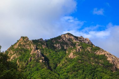Seorak-san Ulusal Parkı, Soraksan, Güney Kore 'deki Seorak dağlarının güzel doğa manzarası.