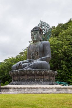 Güney Kore, Seoraksan Ulusal Parkı 'ndaki Sinheungsa Tapınağı' nda inanılmaz büyüklükte bir Buda.