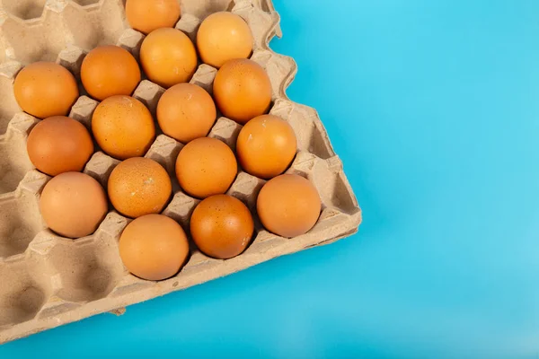 Organic fresh Chicken egg in carton box with blue background