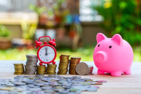 Domuz kumbarası, bozuk paralar ve doğanın bulanık arka planında saat. Para biriktirme kavramı.